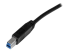 StarTech.com 2m 6 ft Certified SuperSpeed USB 3.0 A to B Cable Cord - Close up