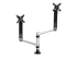StarTech.com Desk Mount Dual Monitor Arm - Front