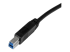 StarTech.com 1m 3 ft Certified SuperSpeed USB 3.0 A to B Cable Cord - Close up